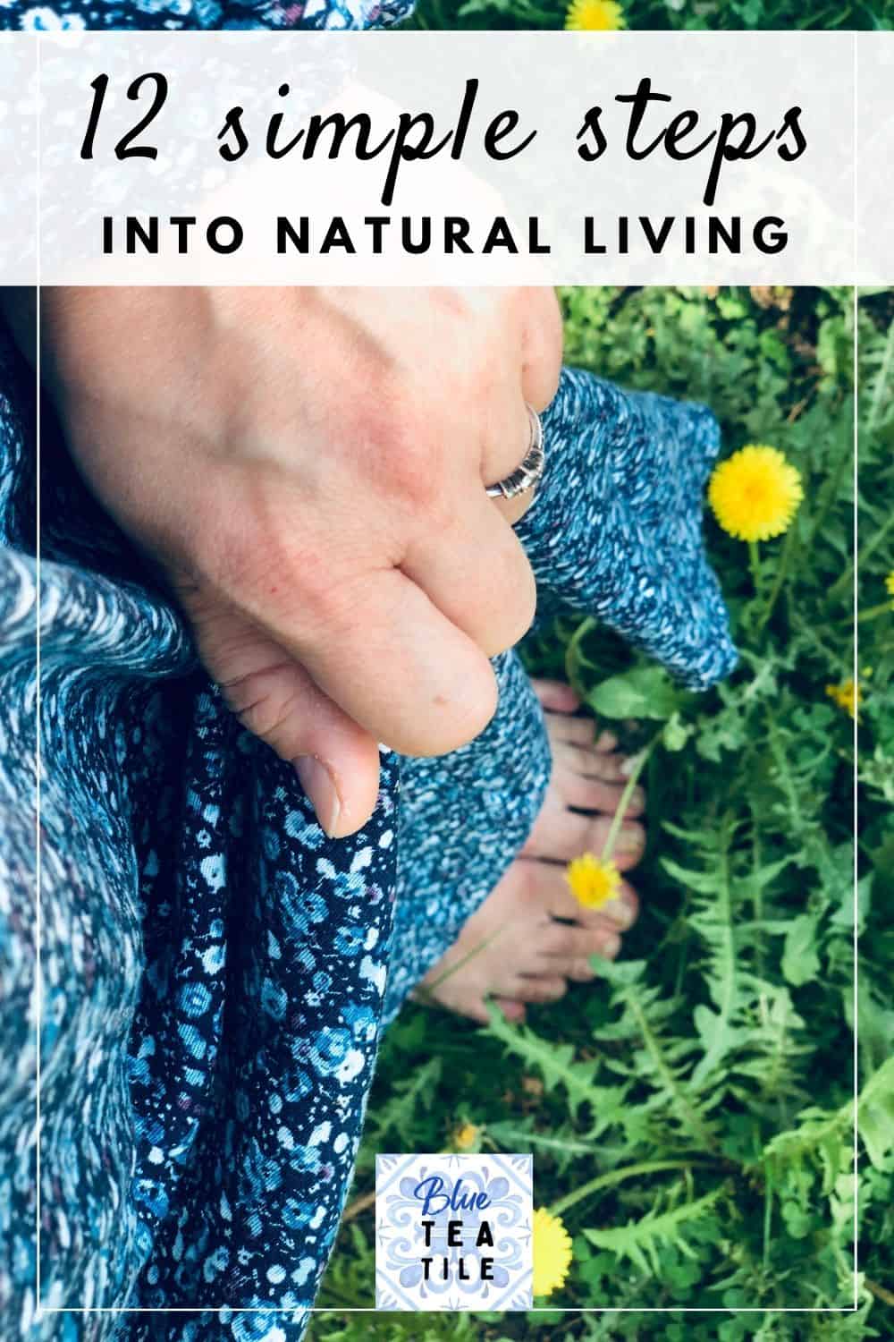 12 steps to living a natural lifestyle