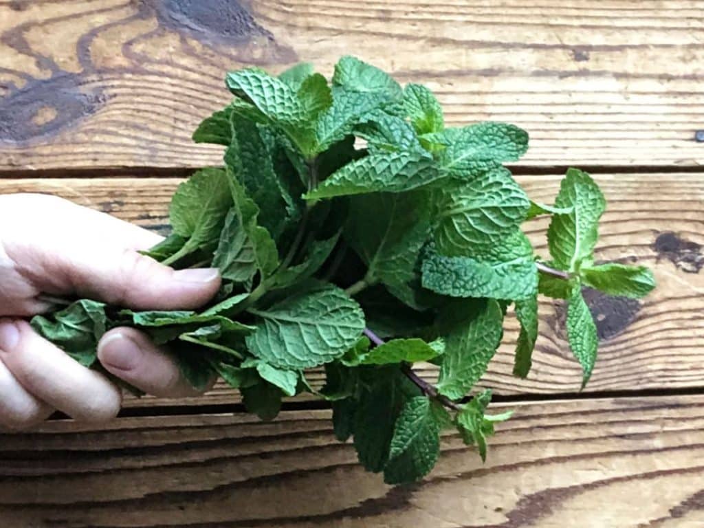 A woman holding a bouquet of mint against a wooden surface.
