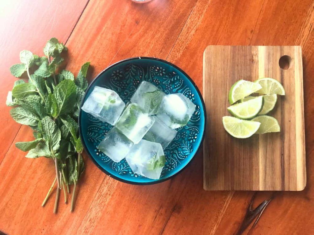 The garnish for the iced Moroccan mint tea: Fresh mint sprigs, mint ice cubes and lime slices.