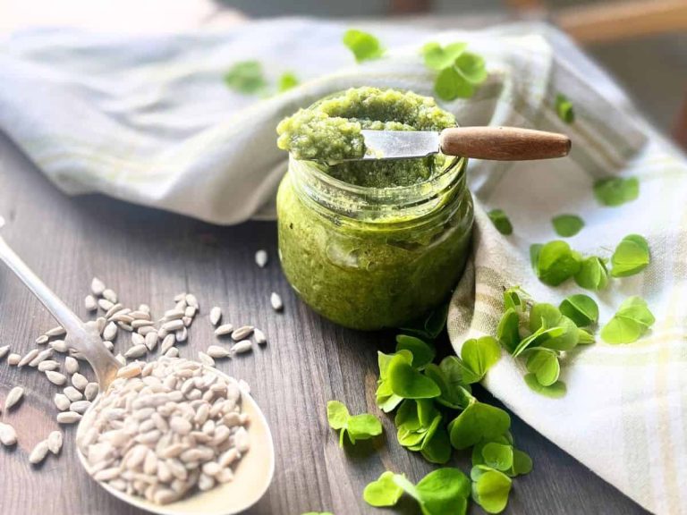 Sunflower seed and wood sorrel pesto in a glass jar with wood sorrel leaves scattered around on the table.
