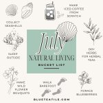 Bucket list what to do in July to inspire a Natural Lifestyle: collect seashells, walk barefoot, dry herbs for herbal teas...