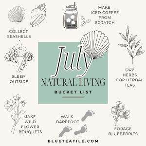 Bucket list what to do in July to inspire a Natural Lifestyle: collect seashells, walk barefoot, dry herbs for herbal teas...