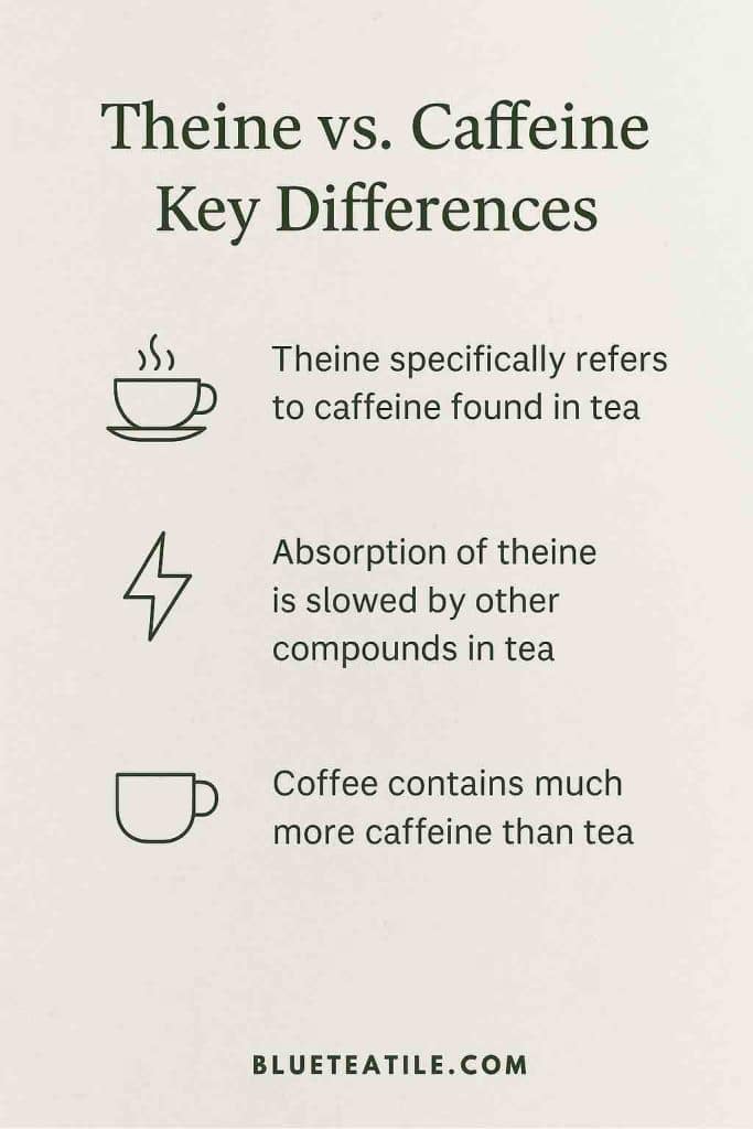 The key differences between Theine and caffeine are summarized in three bullet points.