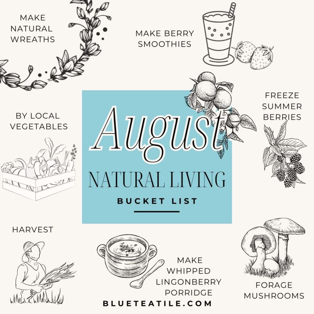 Natural living bucket list for August with inspiration for a more natural lifestyle with suggestions on making a natural wreath, freezing summer berries, and harvesting.