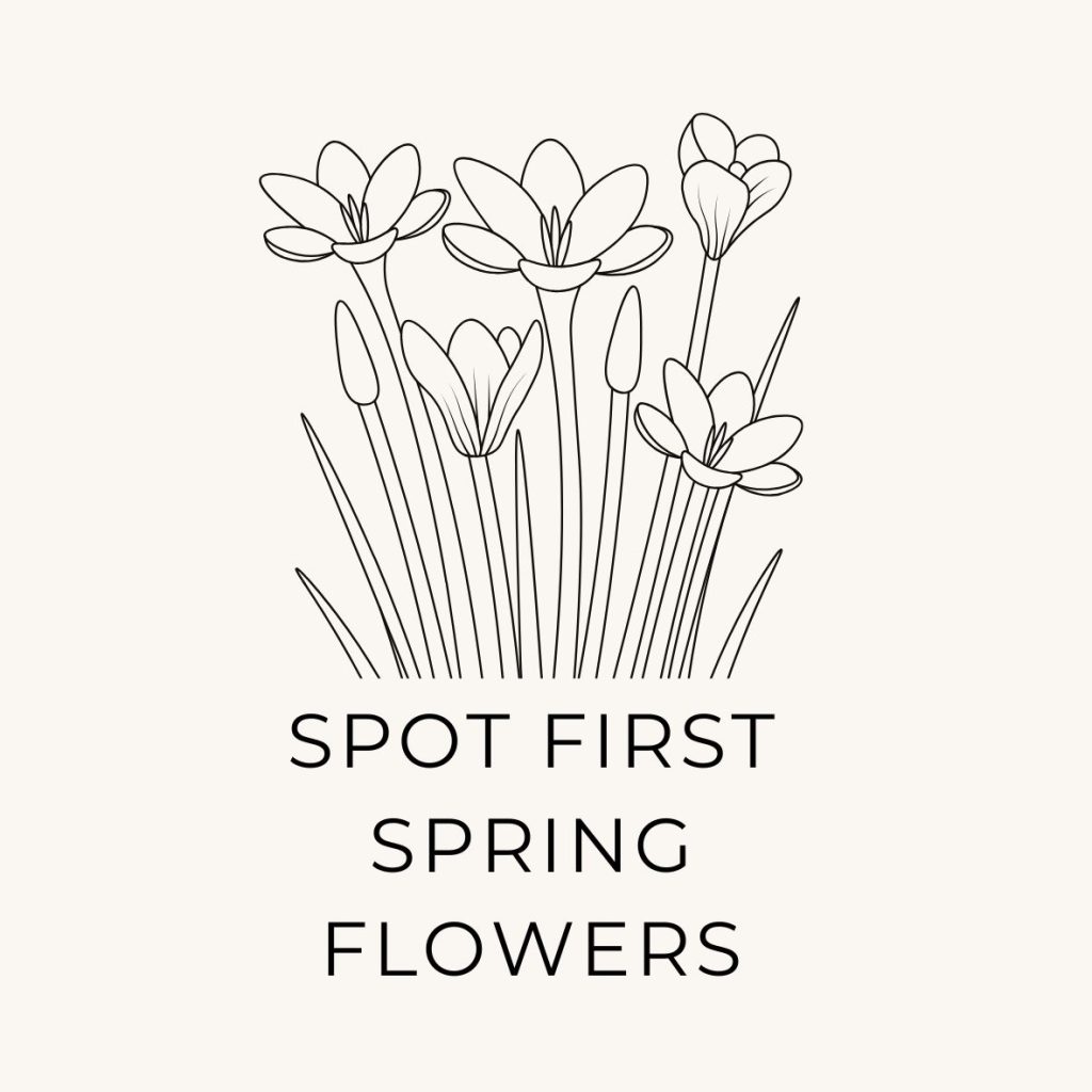 Hand drawn spring flowers and a note to spot first spring flowers as a natural living bucket list task for March.