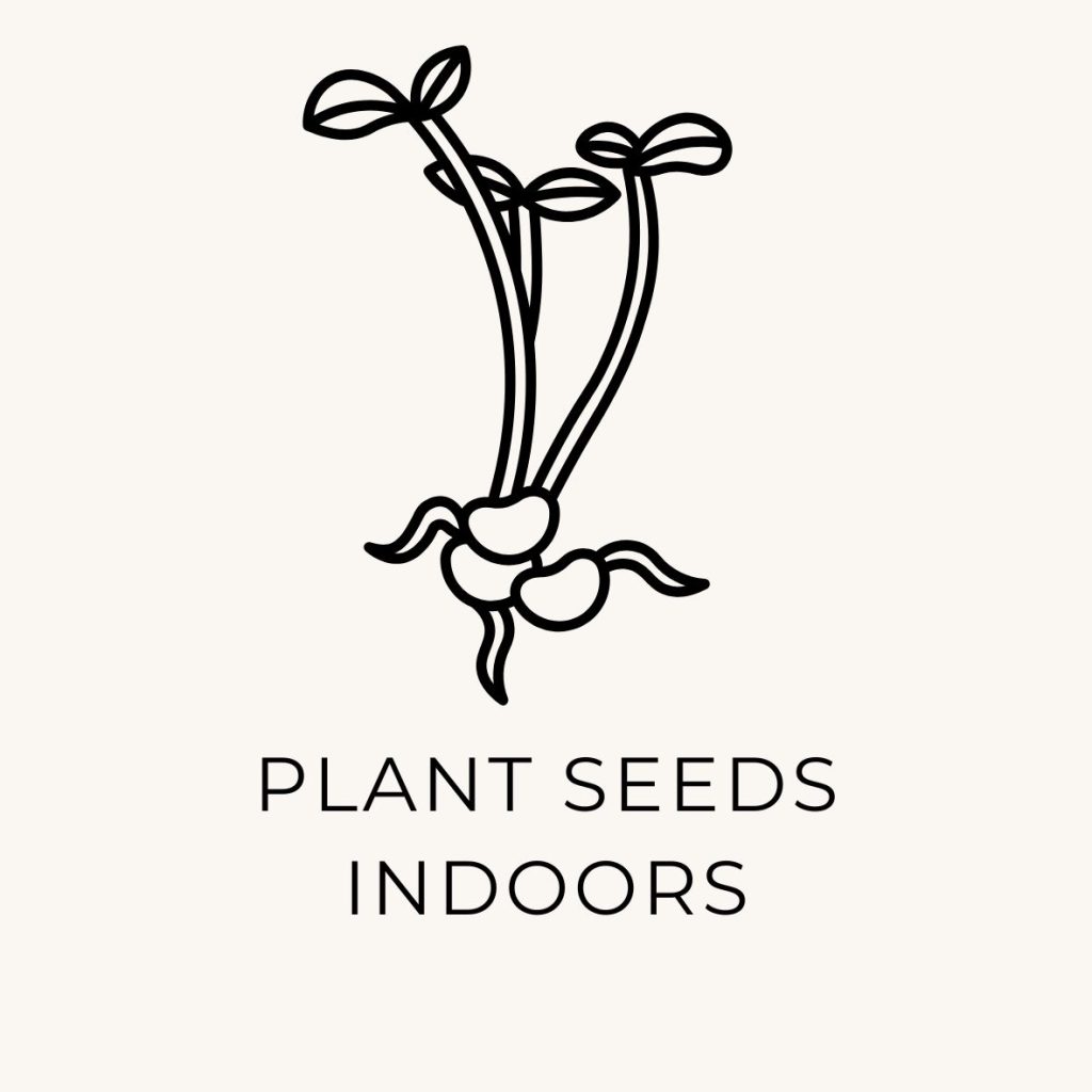 Sproutscoming out from seeds with a note as a reminder to plant the seeds indoors already.