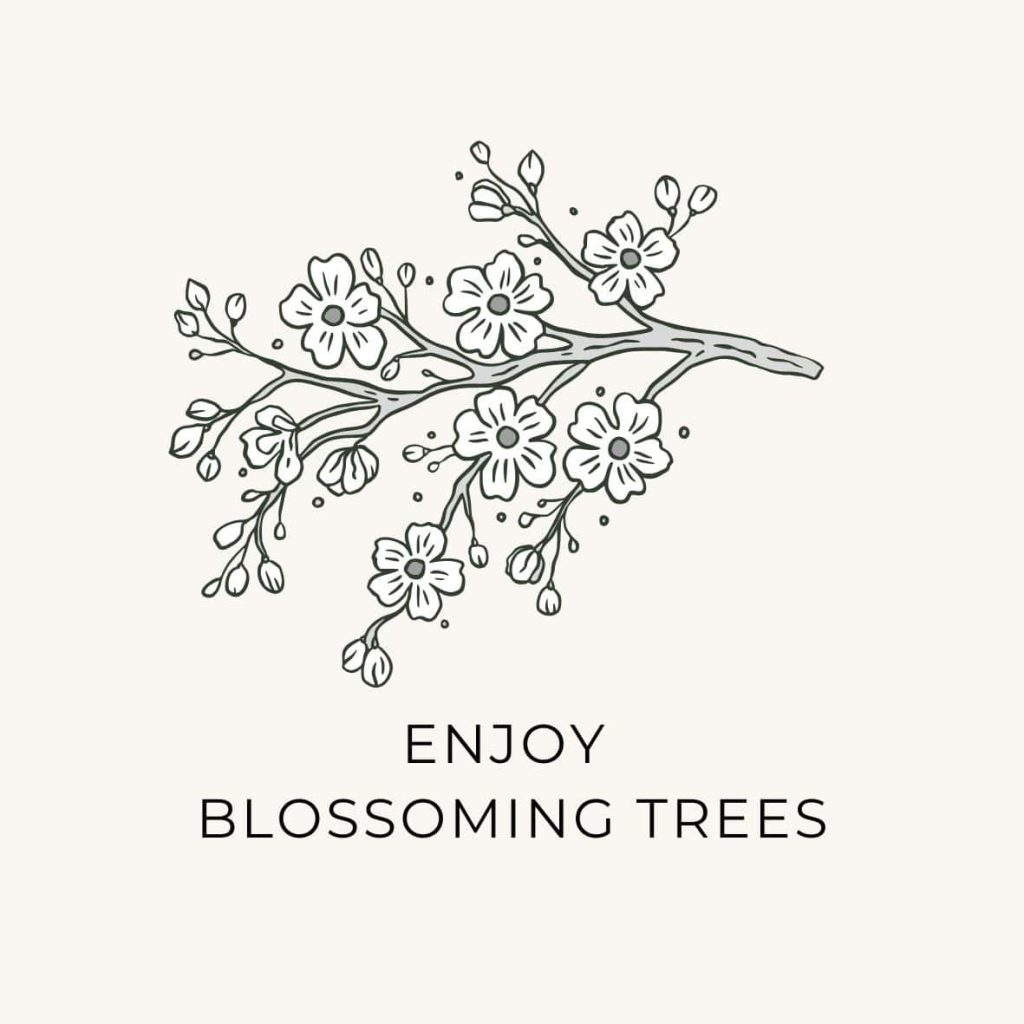 Cherry blossom plants and suggestion to enjoy blossoming trees as a natural lifestyle bucket list task for April.