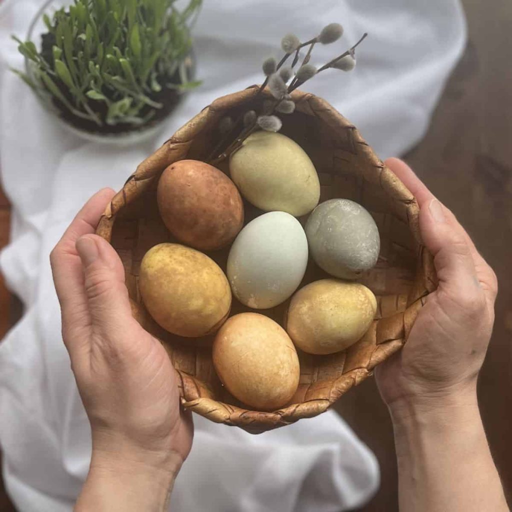 A woman holding an Easter basket filled with naturally dyed eggs.