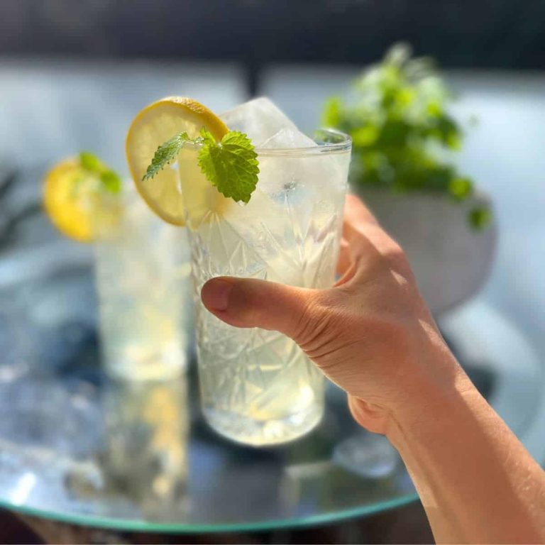 A woman holding a glass of lemon balm iced tea with white tea, garnished with a lemon slice, and fresh lemon balm leaves.