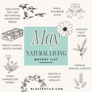 A natural living bucket list for May with ideas for springtime.