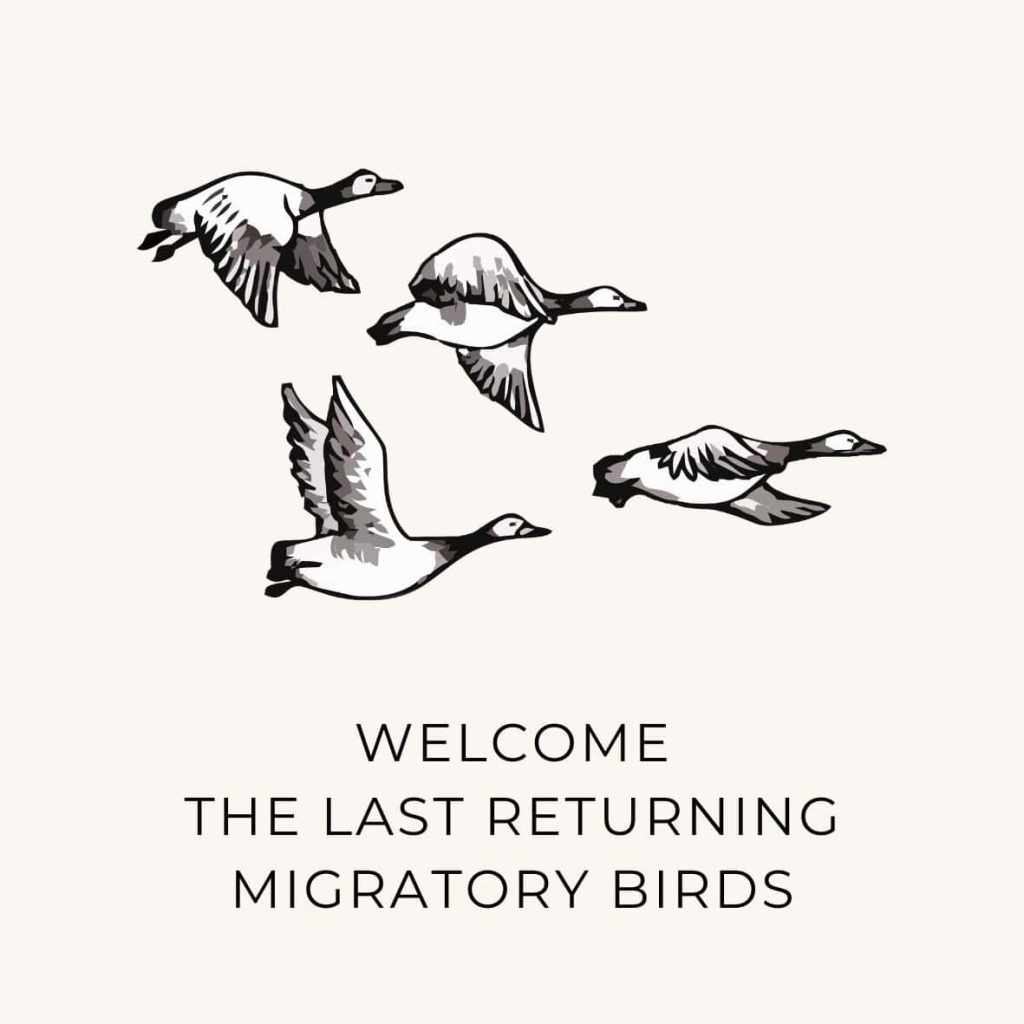 A sketch of migrating birds returning home as a one task to go see those in natural living bucket list for May.