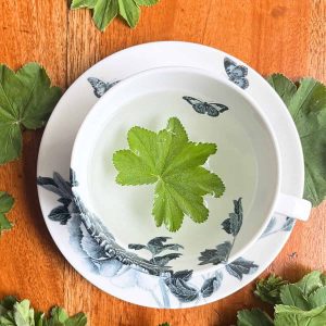 Herbal leaf in a spring tea cup with leaves on the side, creating a spring hygge moment.