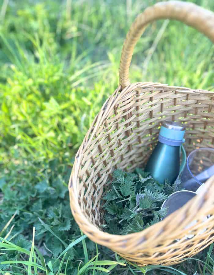 A forager's basket with nettles and a tea thermos.