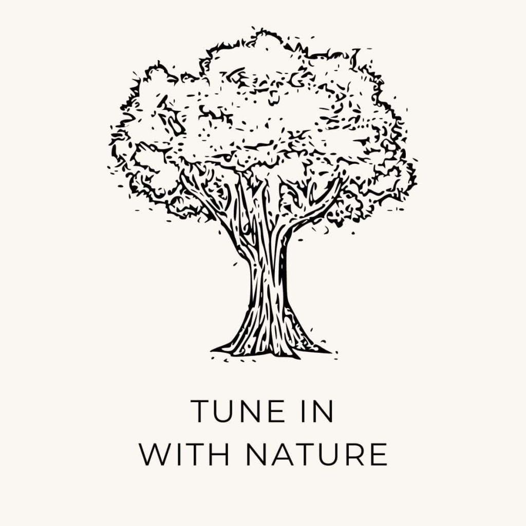 Sketch of a tree and suggestion to tune in with nature as a natural living bucket list task for June