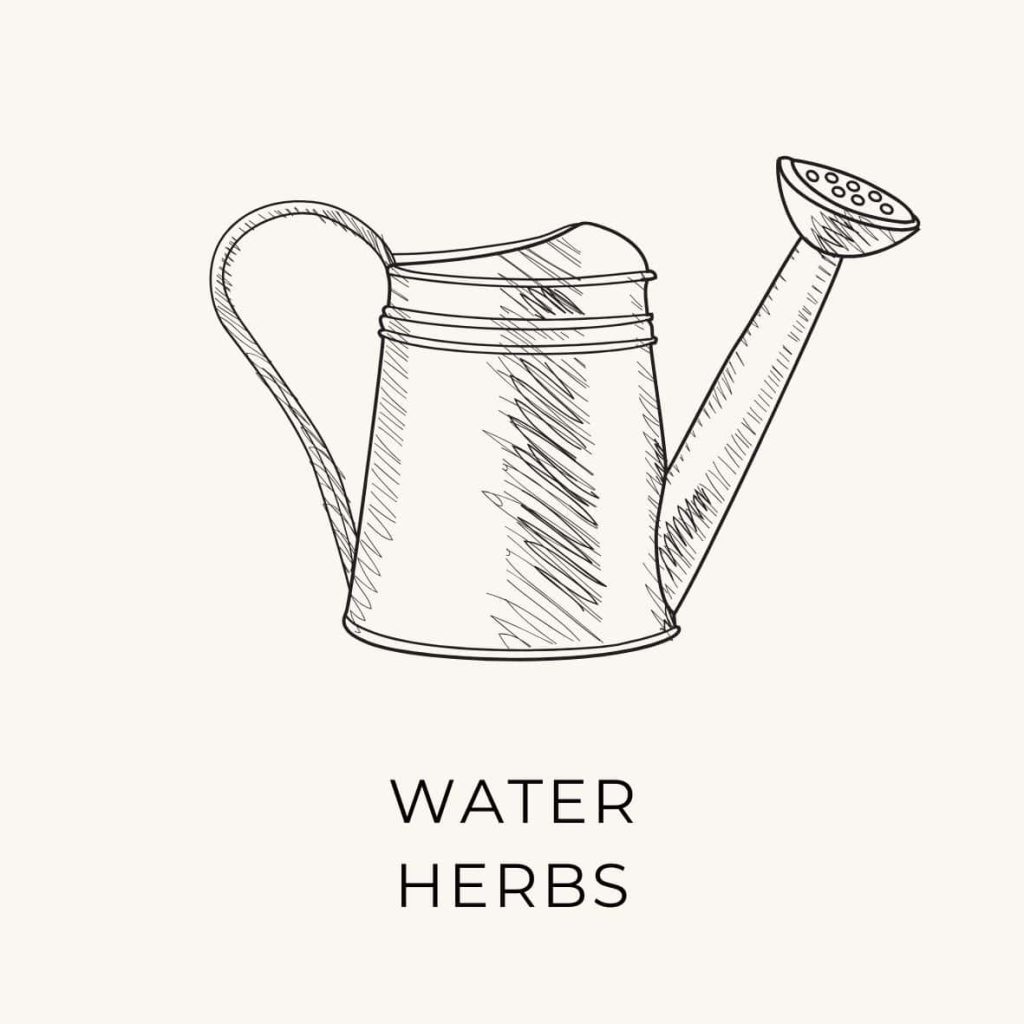 Note to water herbs as a recurring event on June bucket list for natural lifestyle.