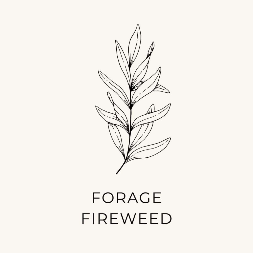 Suggestion to forage for fireweed in June as a task on the bucket list.