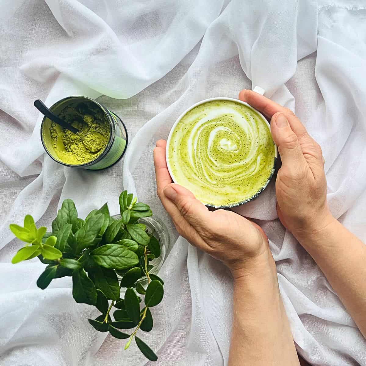 Ceremonial Grade Matcha — Organic Japanese Matcha Powder | Art of Tea