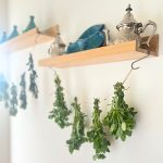 Herbs are bundle-drying naturally on a string.