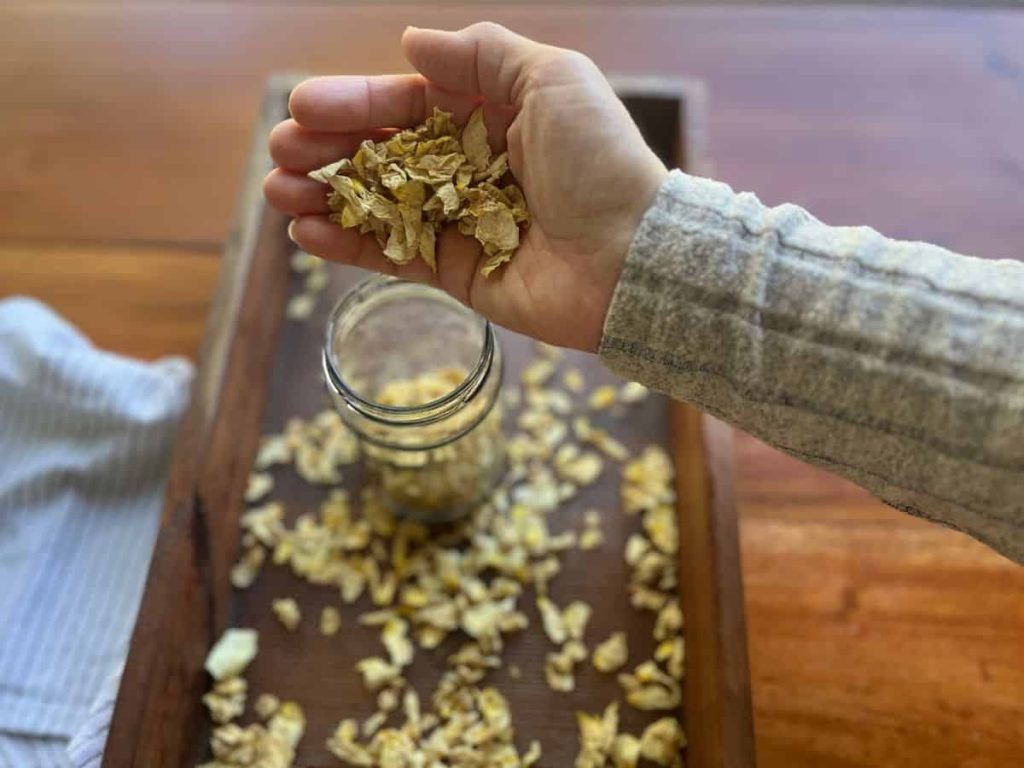 A woman pouring dried rose petals into a glass jar to store for a herbal tea.