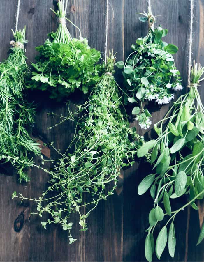 Five bouquets of herbs were hung to dry for tea against a dark wooden wall.