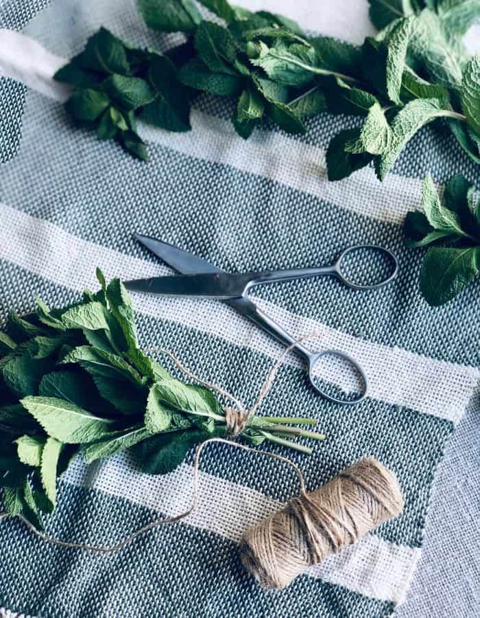 Herbs tied in a bouquet with a jute yarn and a jute yarn with scissors on the table.