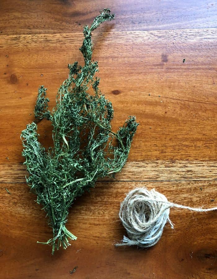 Dried herb on a table with a yarn.