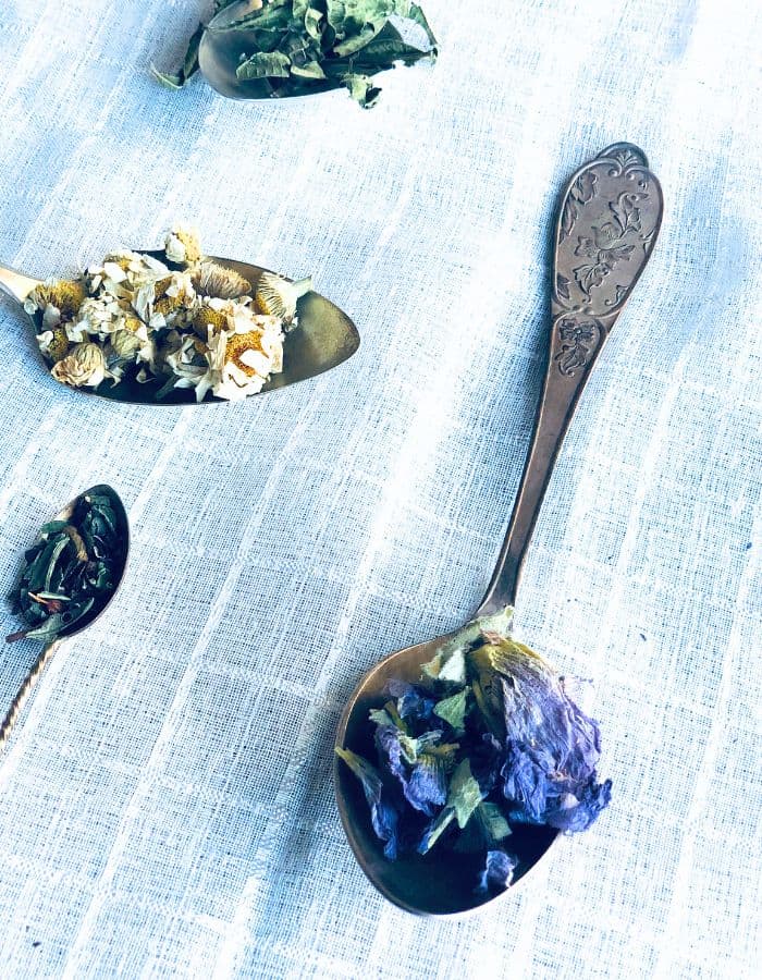 A spoon filled with mallow flowers for floral tea.