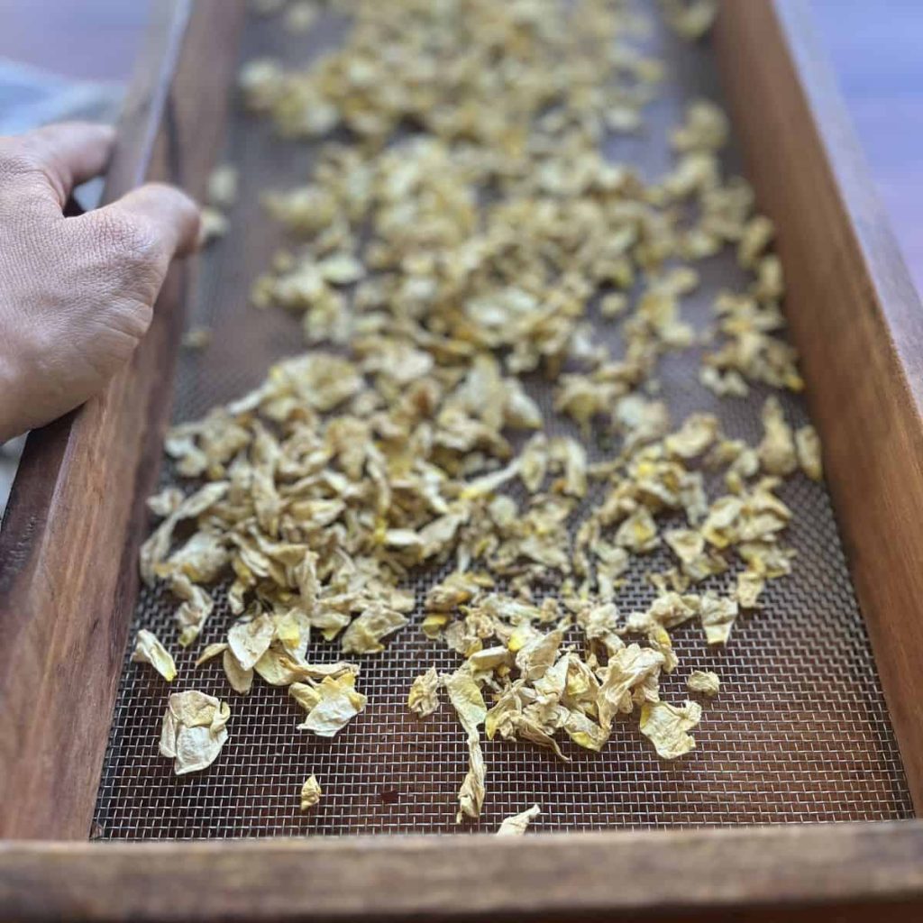 Rose petals drying on a drying rack.