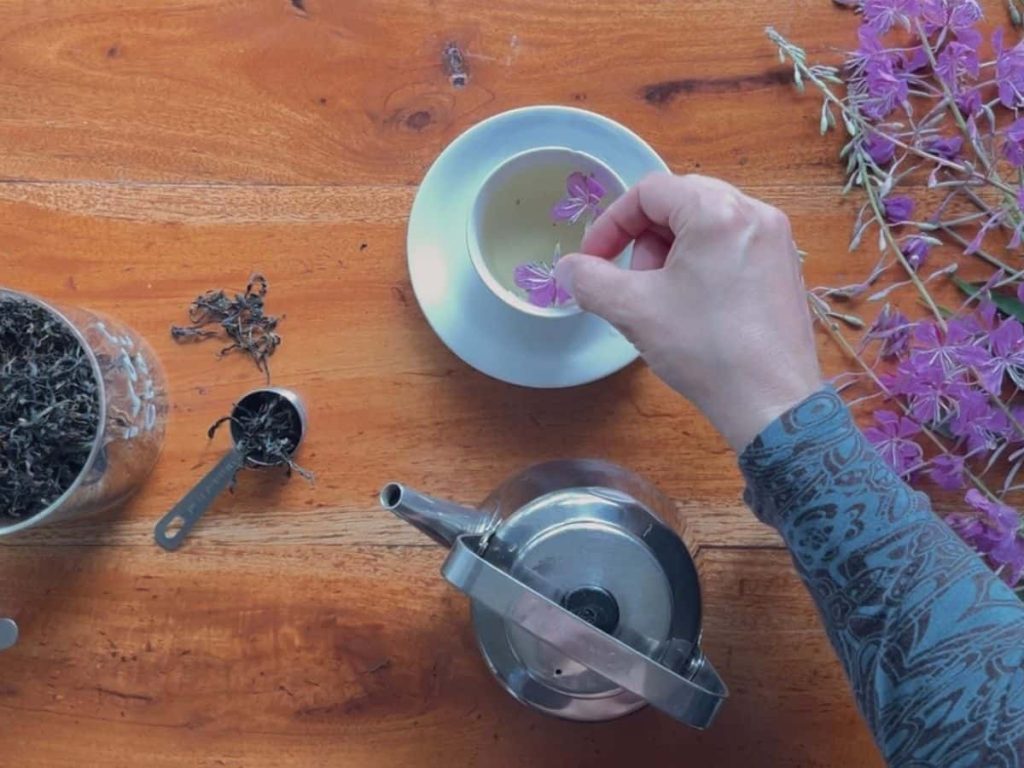 A woman placing a fireweed flower on a cup of Ivan Chai with a tea pot and a loose-leaf Ivan Chai tea jar on the side.
