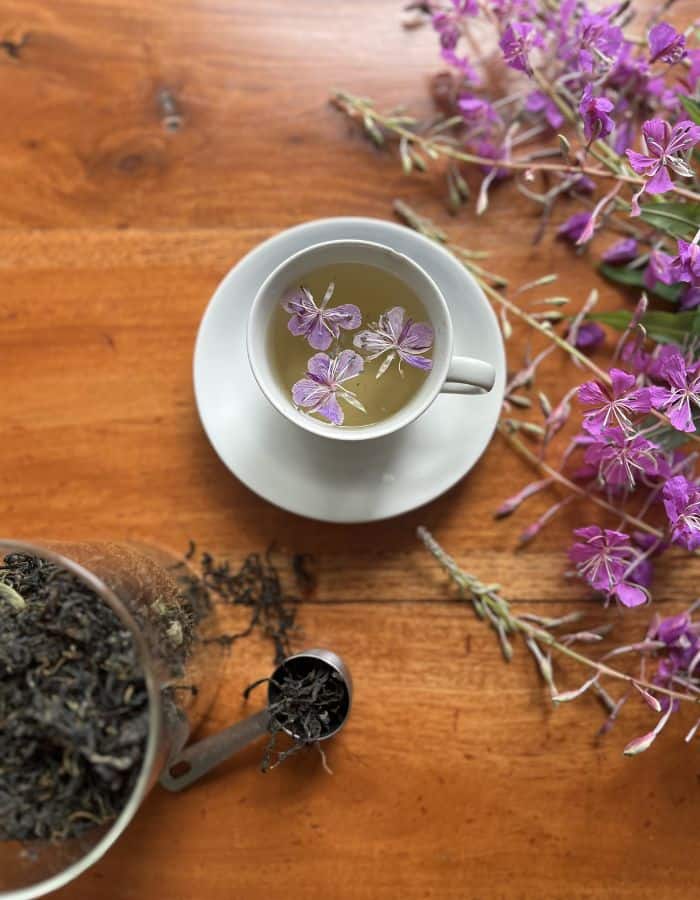A cup of fermented fireweed tea with fireweed flowers on the side, with a jar of Ivan Chai (Koporye Chai).