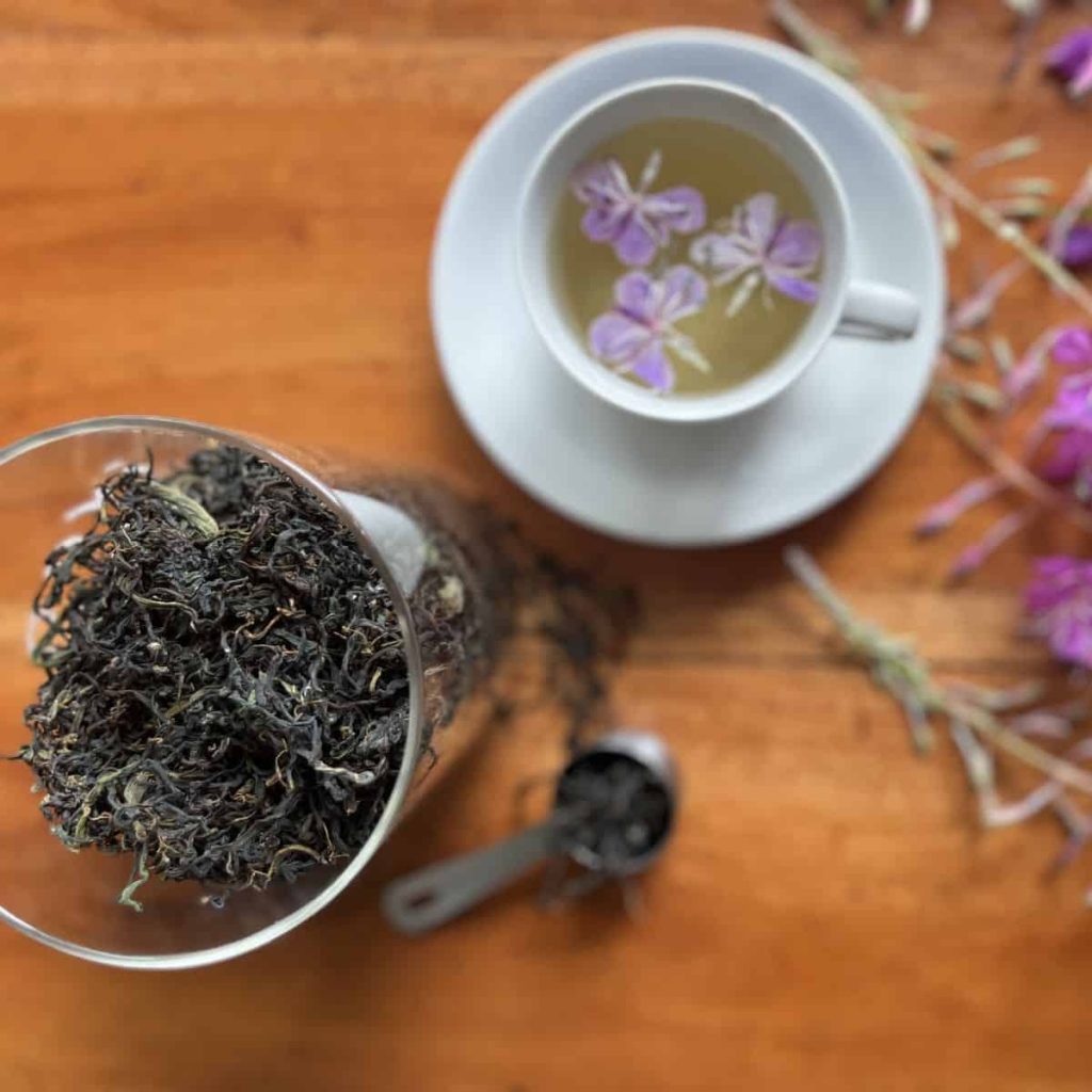 A jar of finished fermented fireweed tea called ivan chai with a steeped cup of it on the side with fireweed flowers.