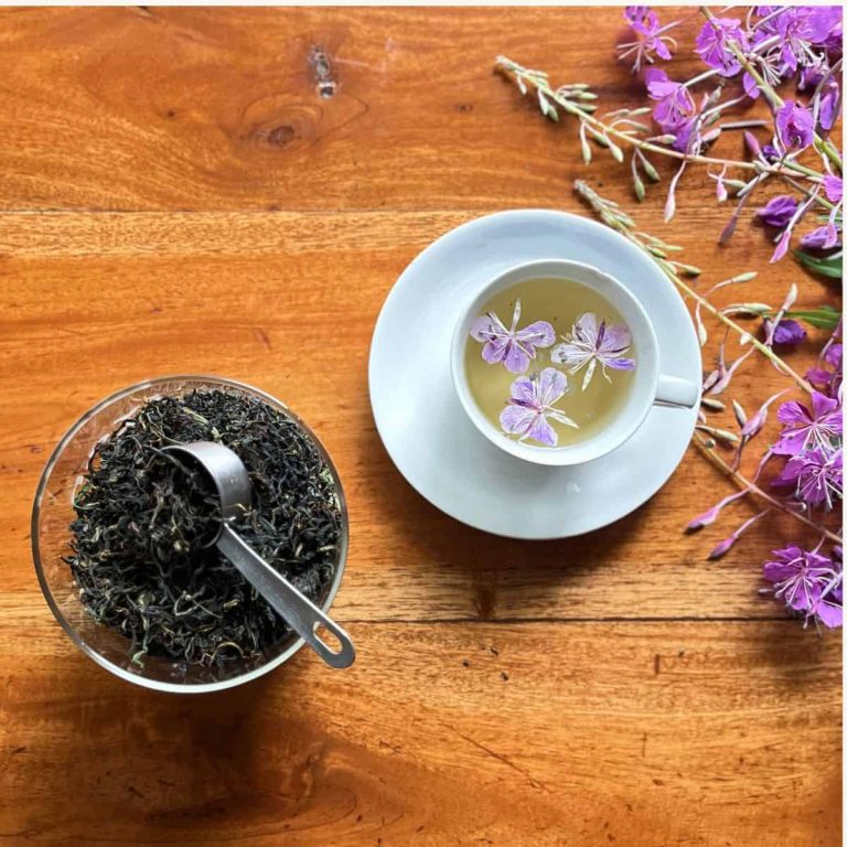 A jar of homemade Ivan Chai loose-leaf herbal tea with a steeped cup of the same fermented fireweed tea with violet colored fireweed flowers as garnish and on the side.