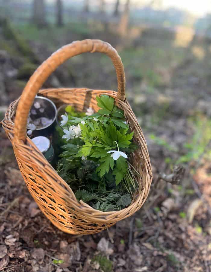 A natural wicker basket filled with foraged goods and a tea thermos.